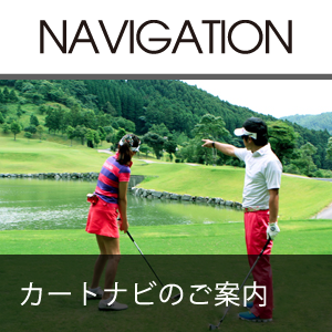 カートナビのご案内